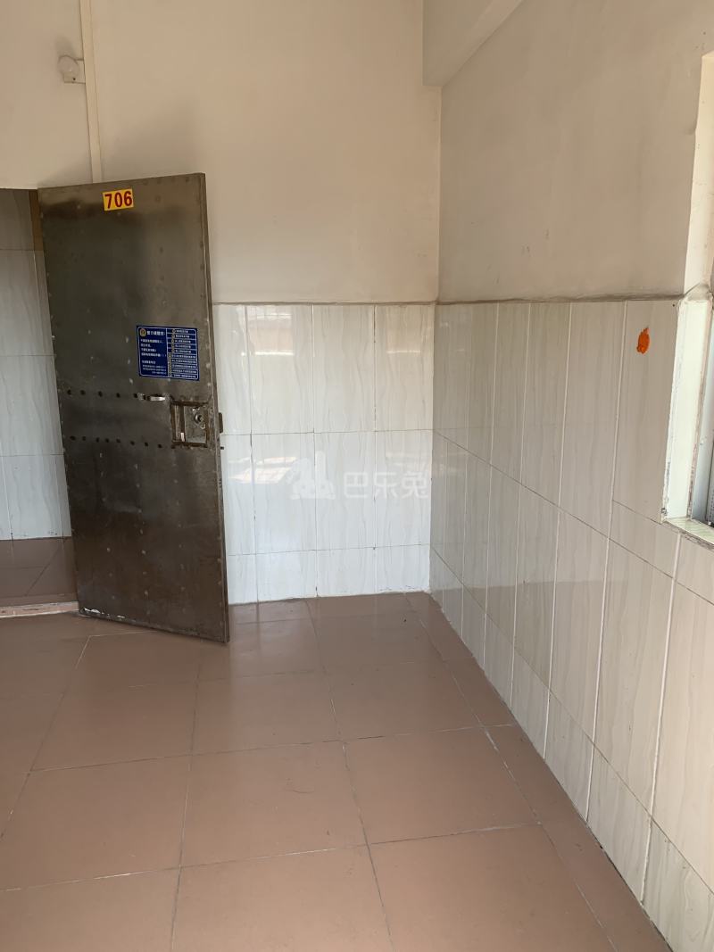 罗岗村（白云区）10631599周边环境图2