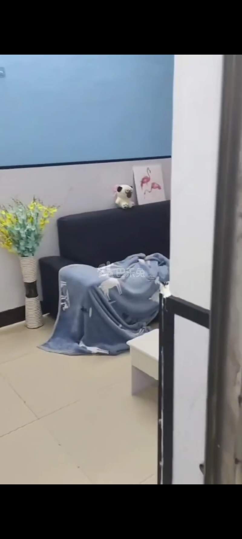 菊树村10636700周边环境图2