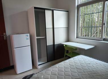 新联村新力（民房） 