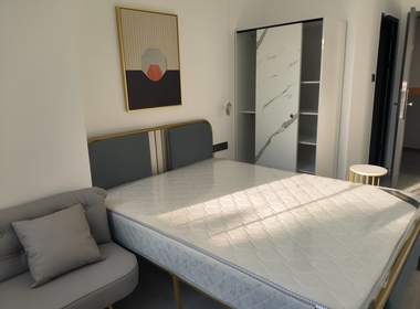 天雅公寓 1室0厅1卫