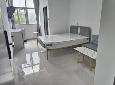 天雅公寓 1室0厅1卫