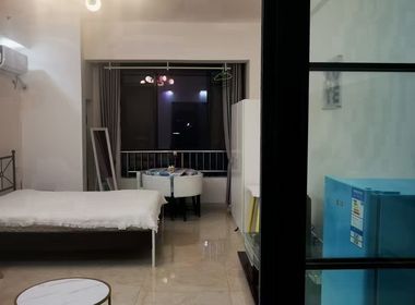 中寰广场 1室1厅1卫