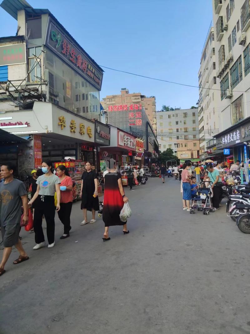 大策小区10701817周边环境图3