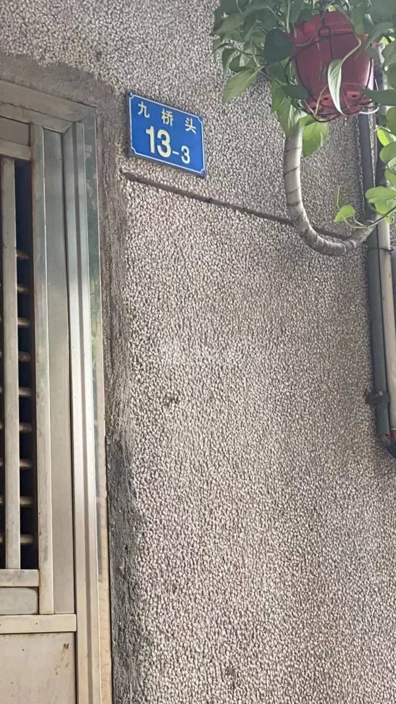 大策小区10702760周边环境图2