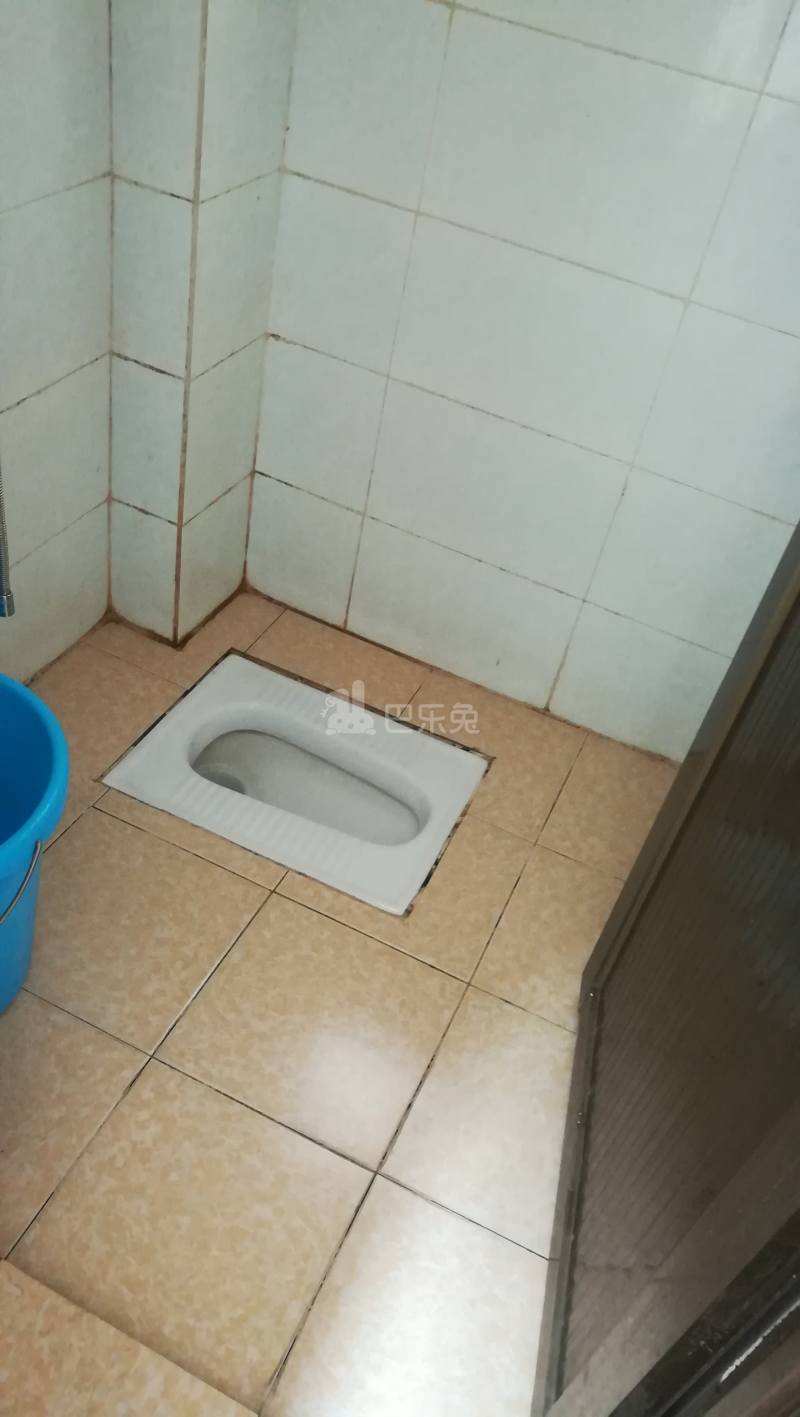 大策小区10702793卫生间图3