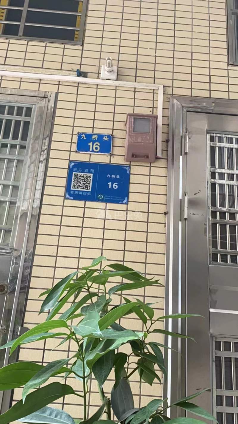 大策小区10702801周边环境图2