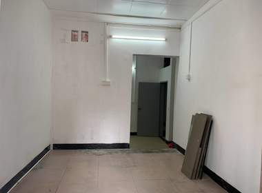 东塱村 4室1厅1卫