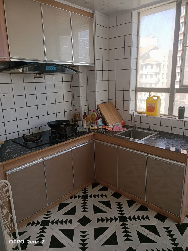 丽景苑（松江）1075449厨房图5