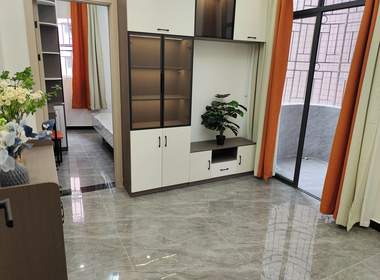 美宿家青年公寓（员村桥头新村五巷2号） 1室1厅1卫