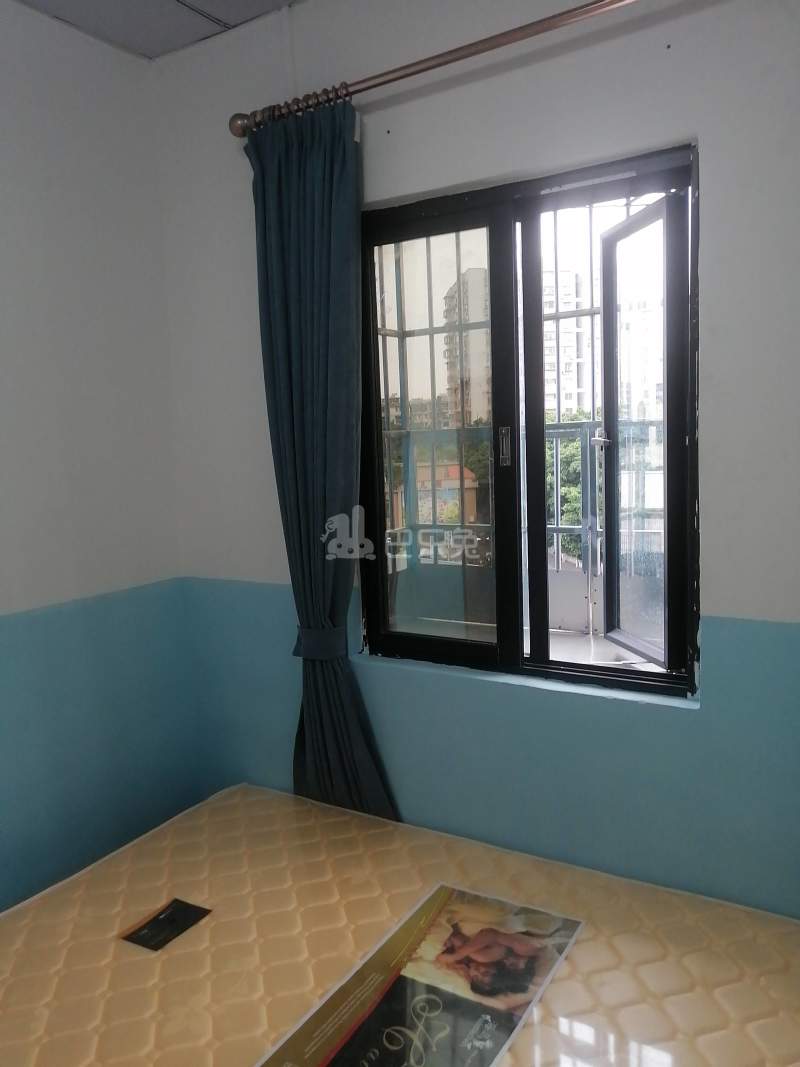 矿泉街沙涌南村莲涌街2号之310780136卧室窗户图7