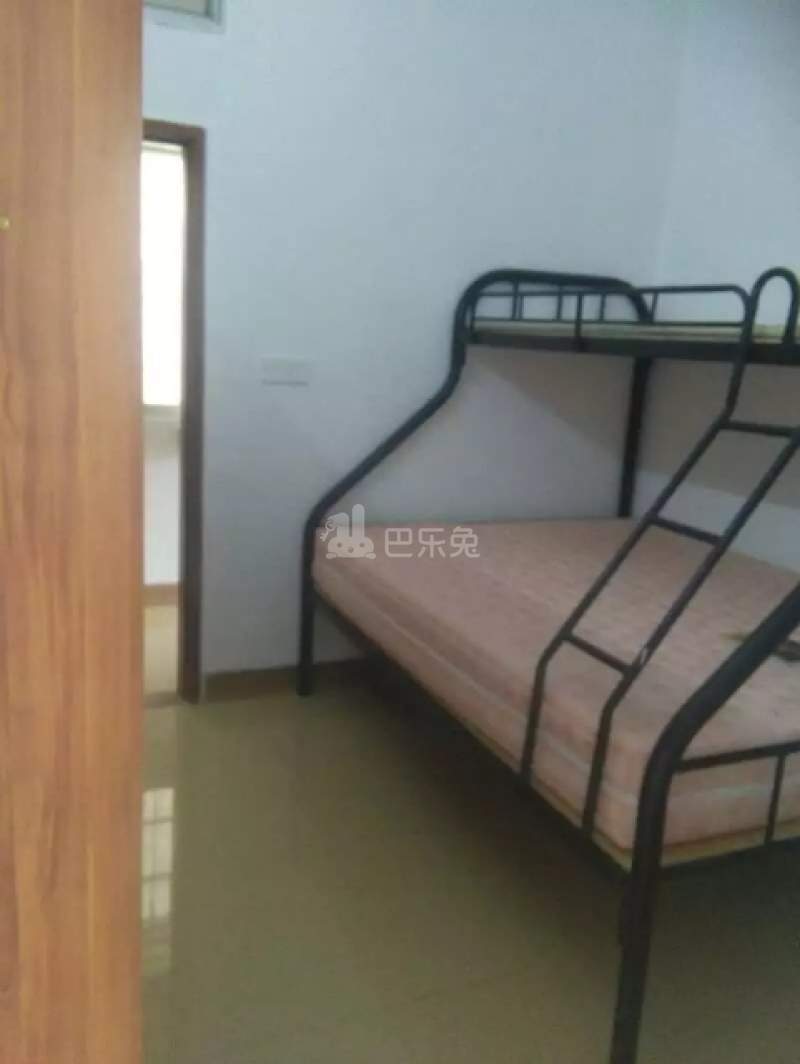 招村新街10790389卧室图1