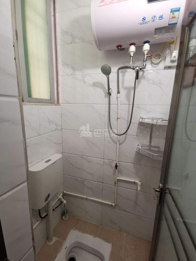 东平村10813756卫生间图1