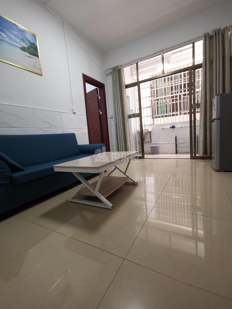 东平村10813790周边环境图11