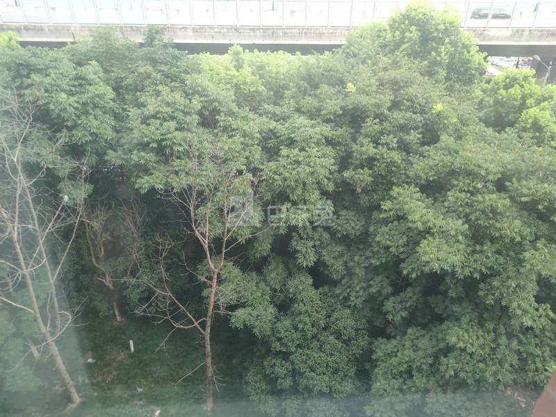 海澜半岛东区10877383周边环境图6