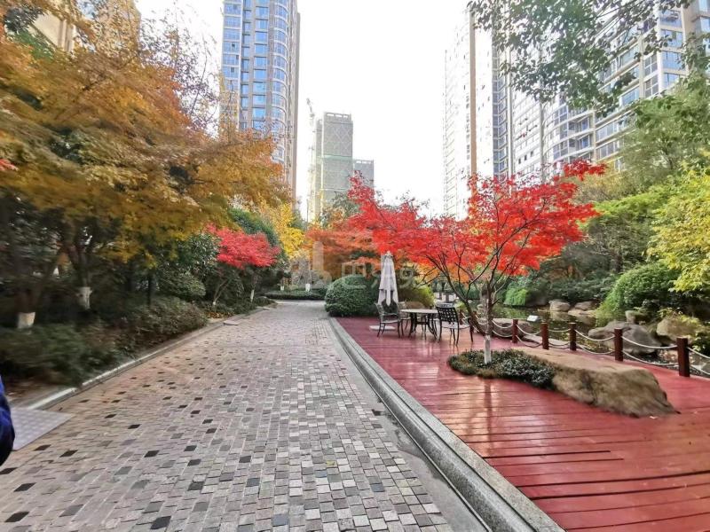 星雨华府10893484周边环境图13