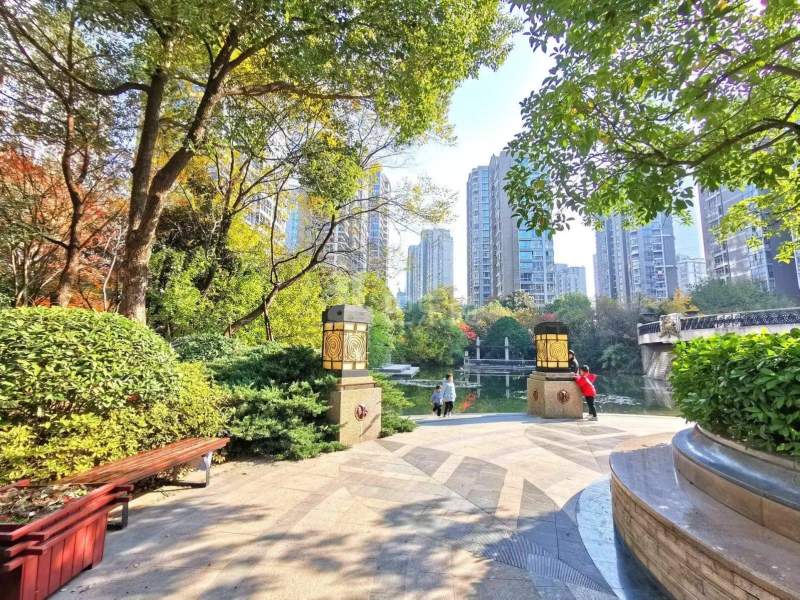 星雨华府10893484周边环境图10