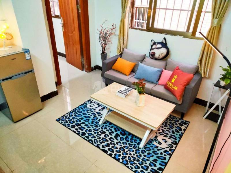 龙溪村10914410客厅图4