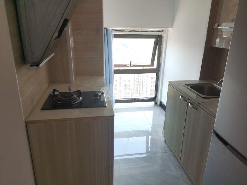 绿地卡米（嘉域生活中心）10922563厨房图5