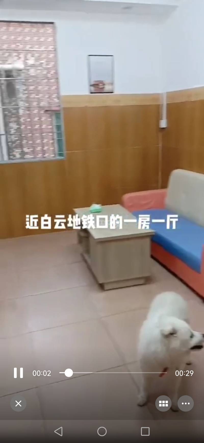 萧岗村(白云区新市萧岗北门东街33号)10932334周边环境图2