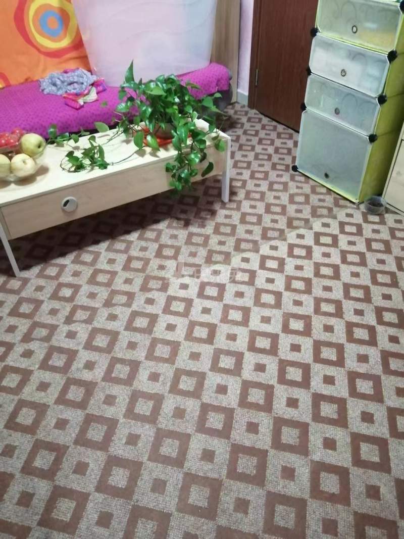 田园夏意苑10962969卧室图4