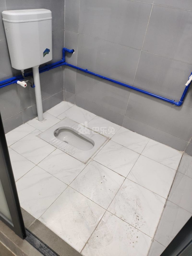 吉山庄岗山巷8号10981378卫生间图7