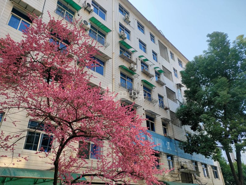 华兴楼11025532周边环境图5