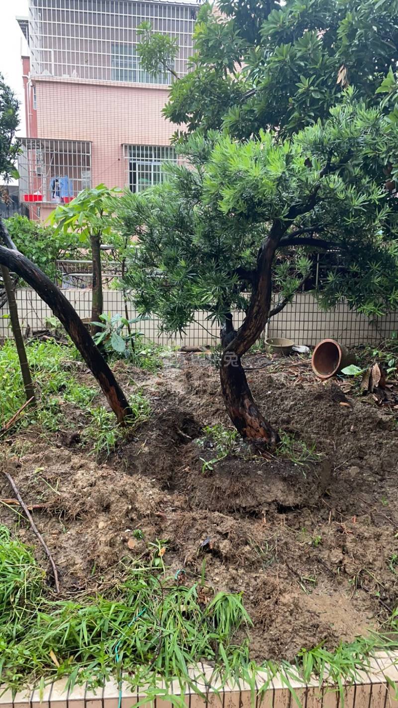 龙洞村11046771周边环境图2