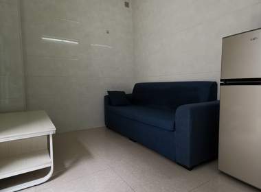 东平村 1室1厅1卫