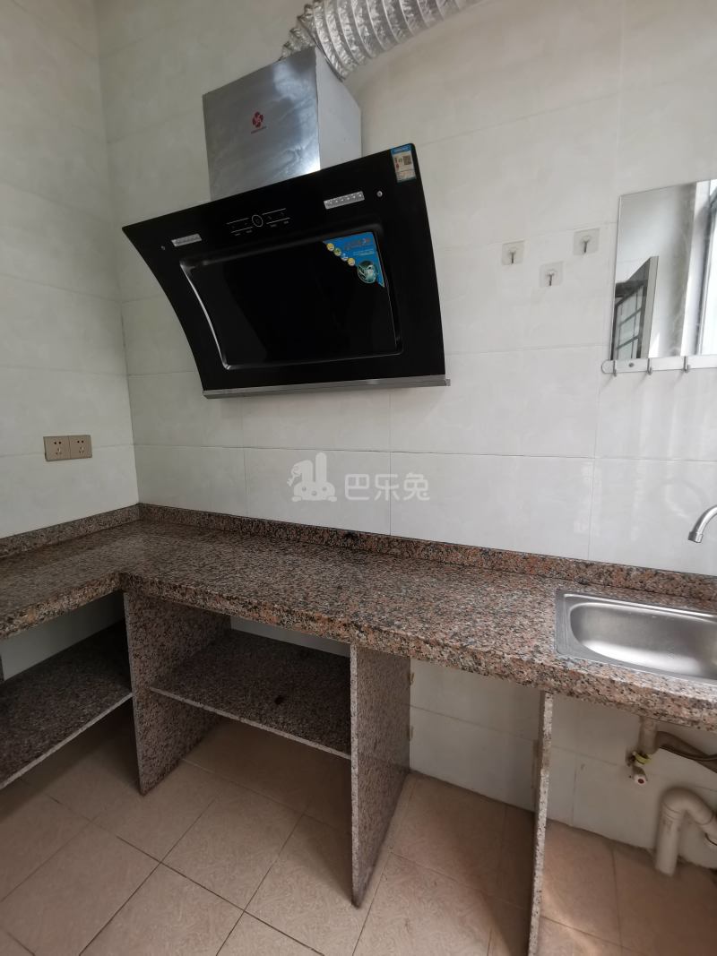 东平村11056257周边环境图1