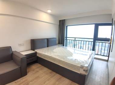 德信市心府（雅颂市心府） 