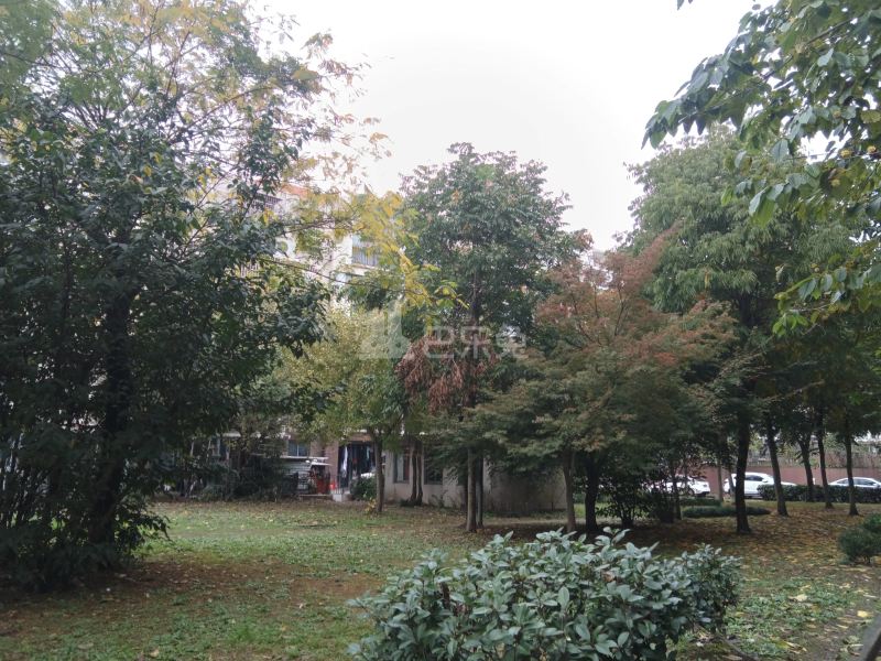 金鹤新城水岸秀苑11155349周边环境图7