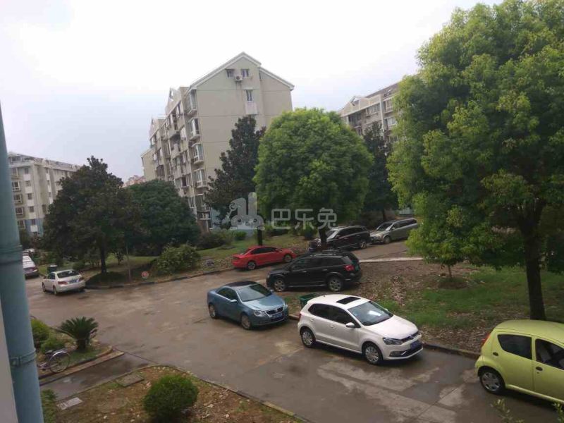 古桐四村6428781周边环境图0