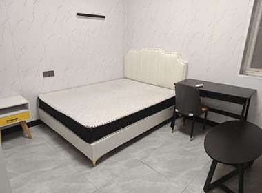 桃源二村 1室0厅1卫