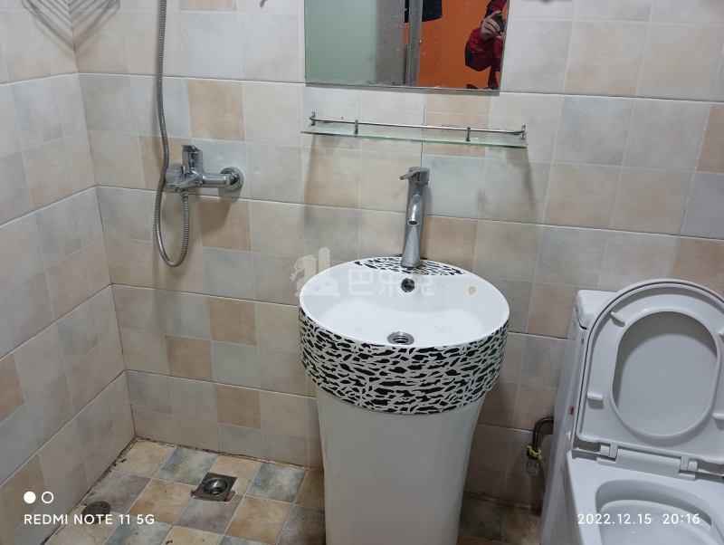 泰业公寓（小区）11327396卫生间图5