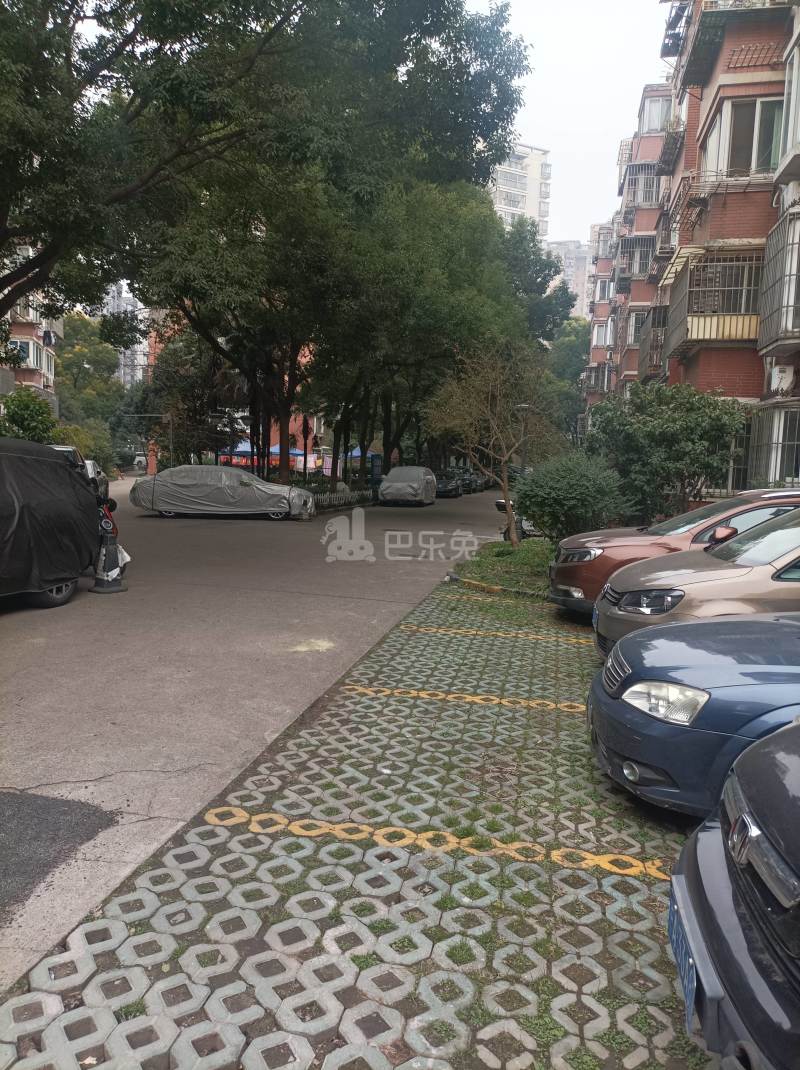 紫兰苑（中华新路939弄）11347119周边环境图36