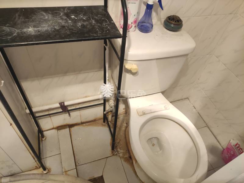 中瑞公寓1136748卫生间图4