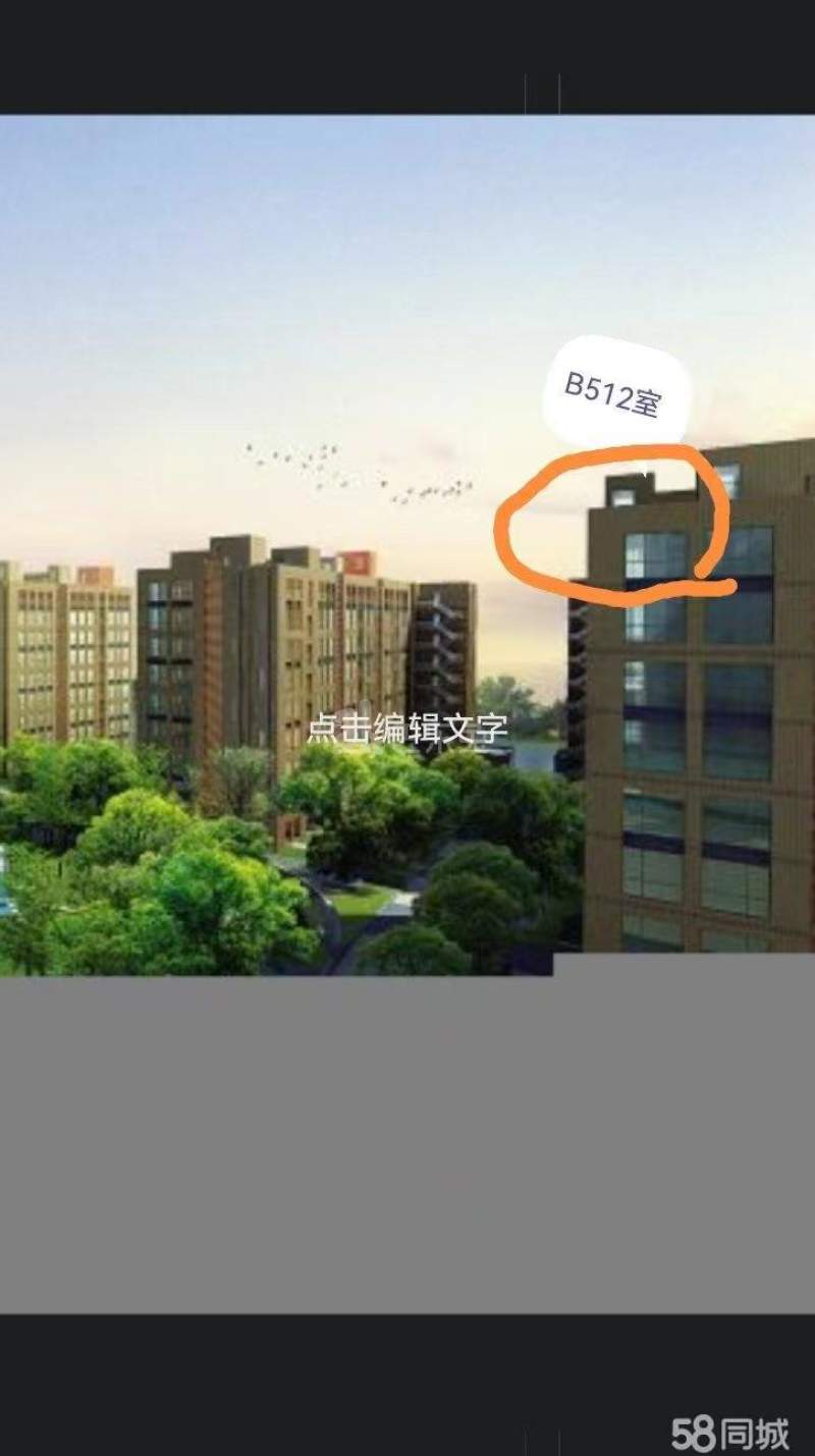 西港新界11383718周边环境图5