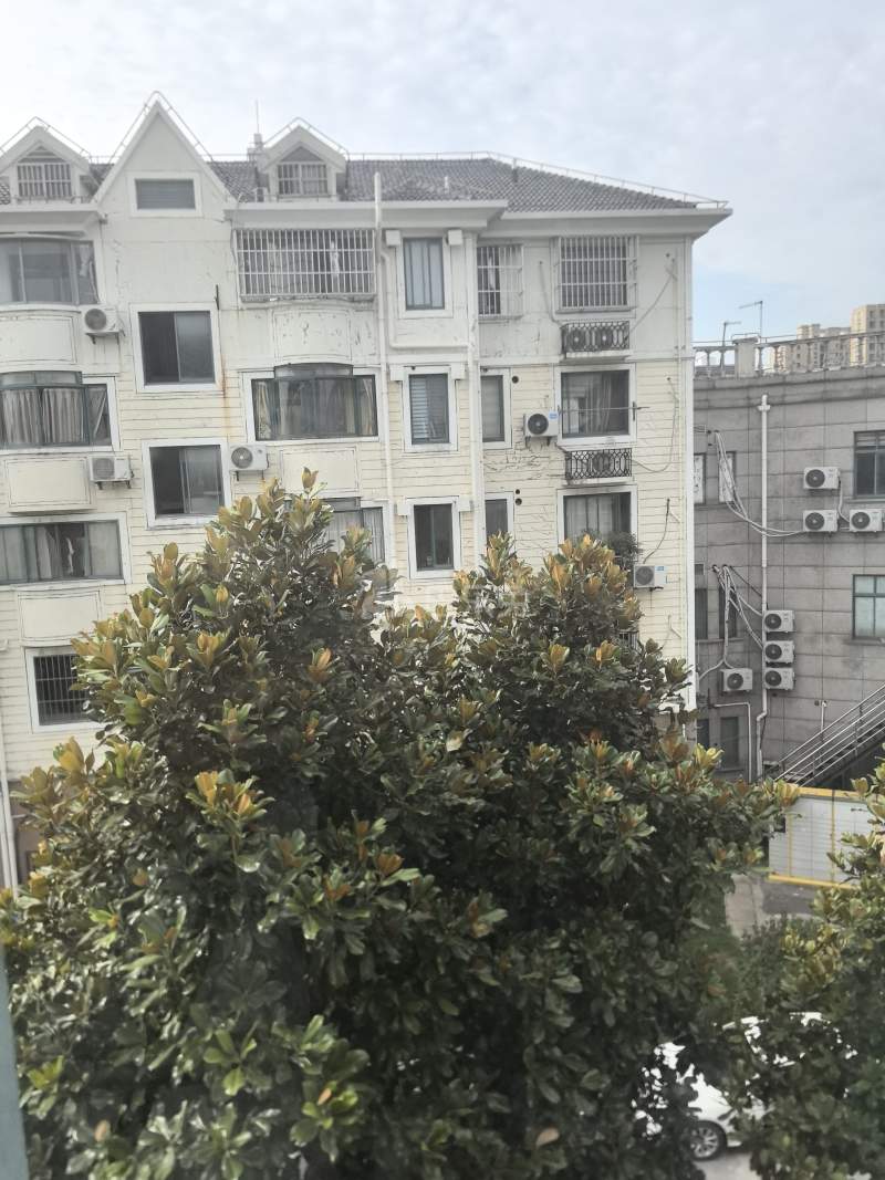 祥和公寓（横港公路）11429832周边环境图18