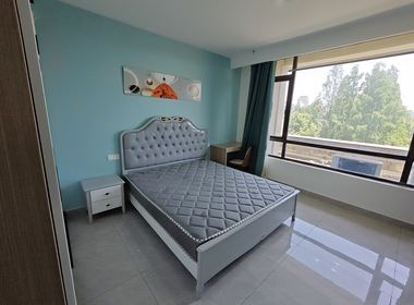 绿地21城国际家园A区 1室1厅1卫