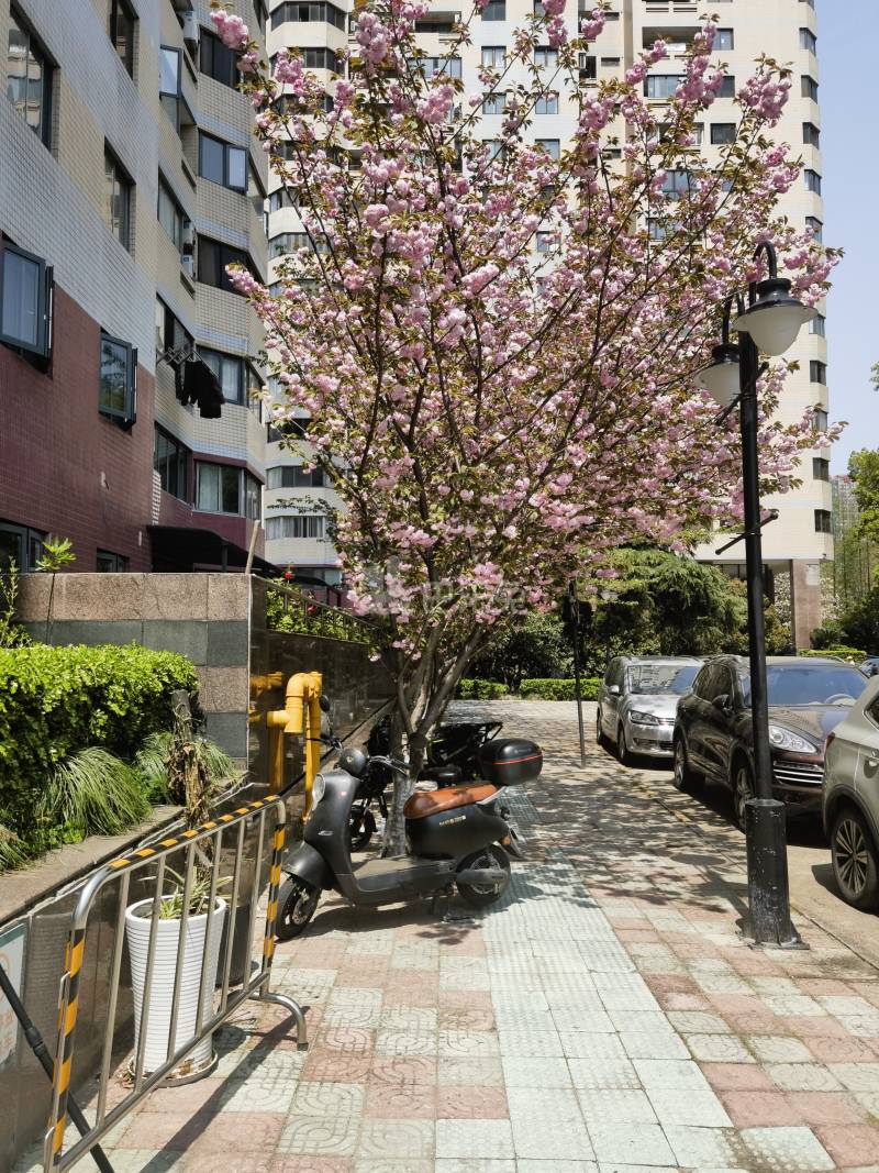 海富花园11453598周边环境图7