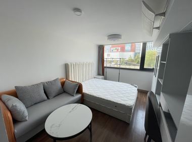 环翼城 1室1厅1卫