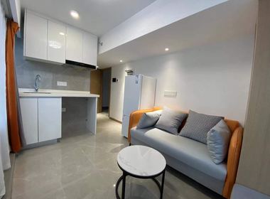 环翼城 1室1厅1卫