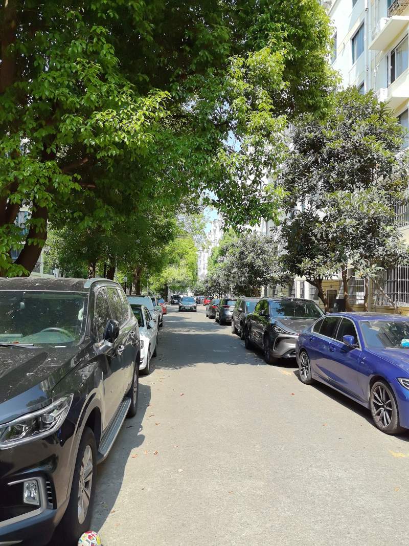 南郊花园北区11543717周边环境图7