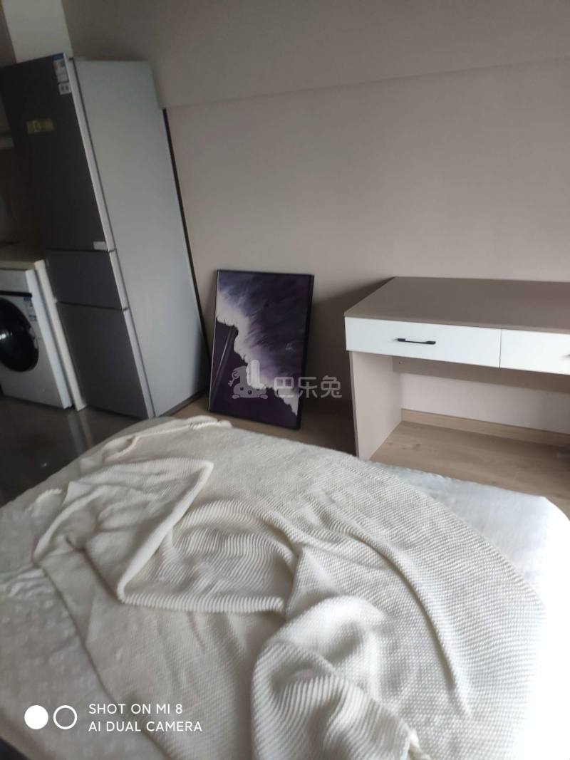 申花印月11603175卧室图3