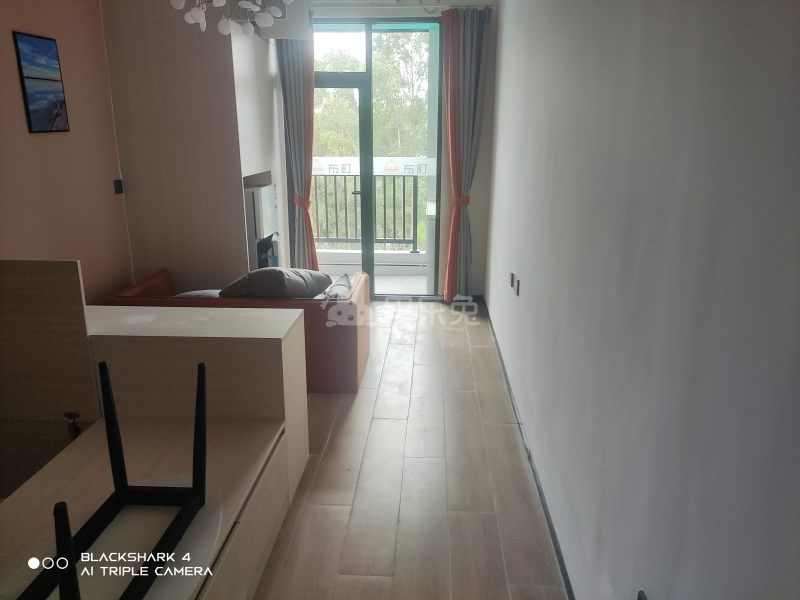 布町公寓（大淋岗大路街35号B栋）11611363客厅图3