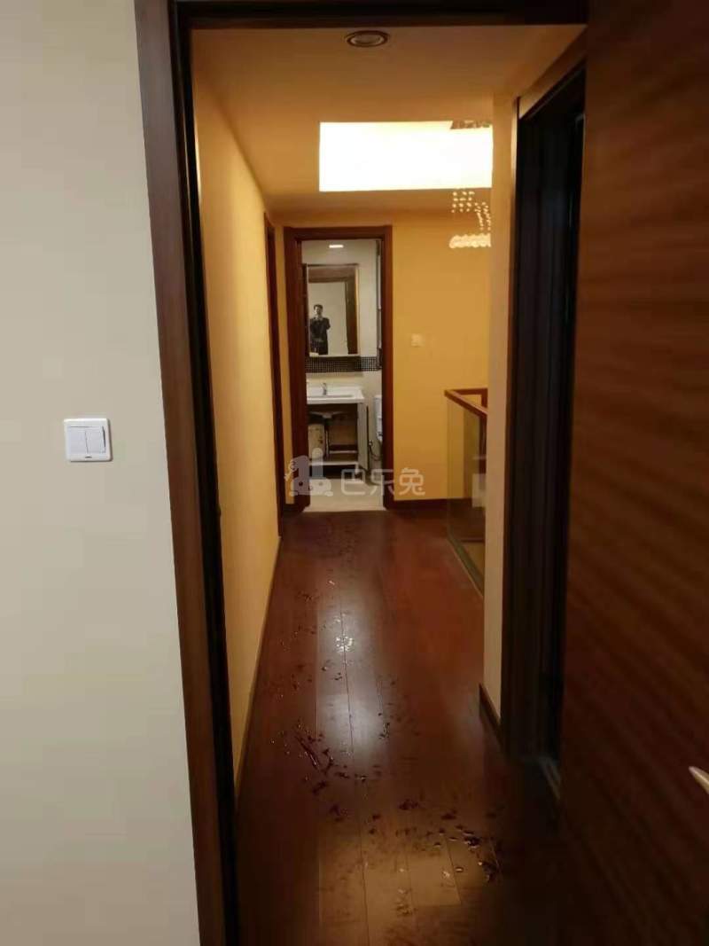 华府国际11612839周边环境图1