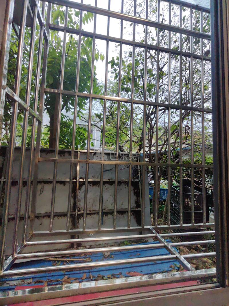 旗开公寓11619839周边环境图8