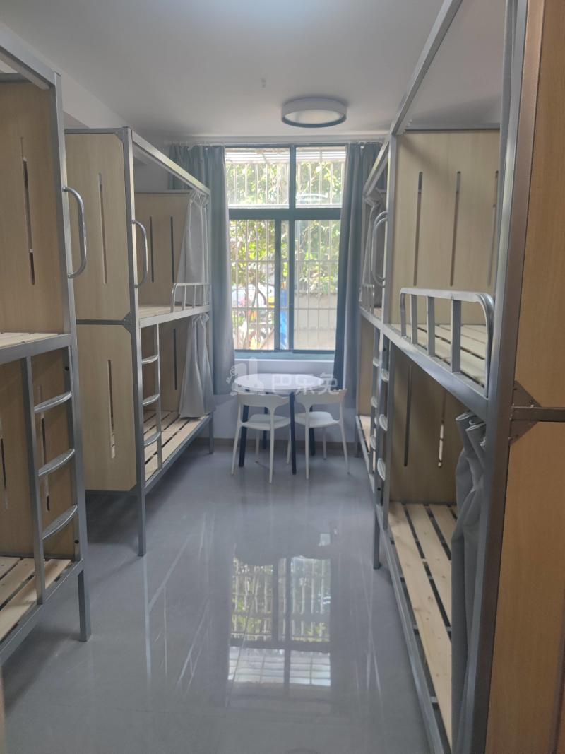 旗开公寓11619842卧室图0