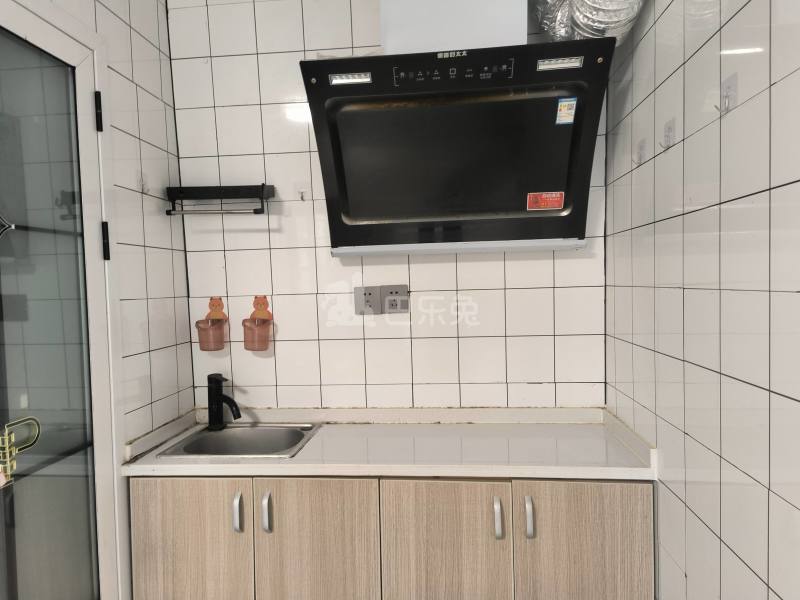 惠东村（村庄）11684261厨房图4