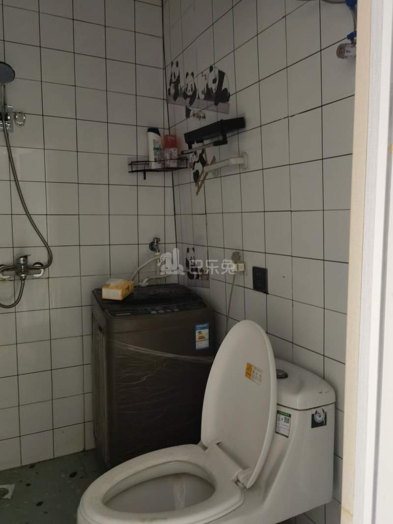 惠东村（村庄）11684274卫生间图6